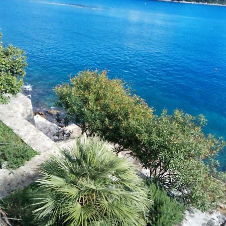 Mljet 4You - Beach House Sobra Extérieur photo